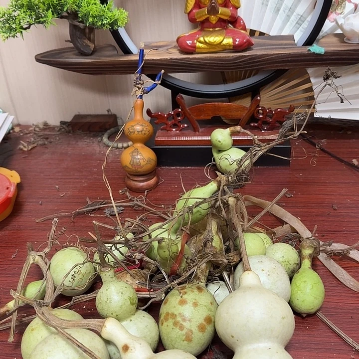 s***efyukbvcfujjjnbvfyi