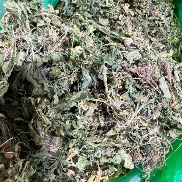 蛟哥优品 永嘉楠溪江秋浓白