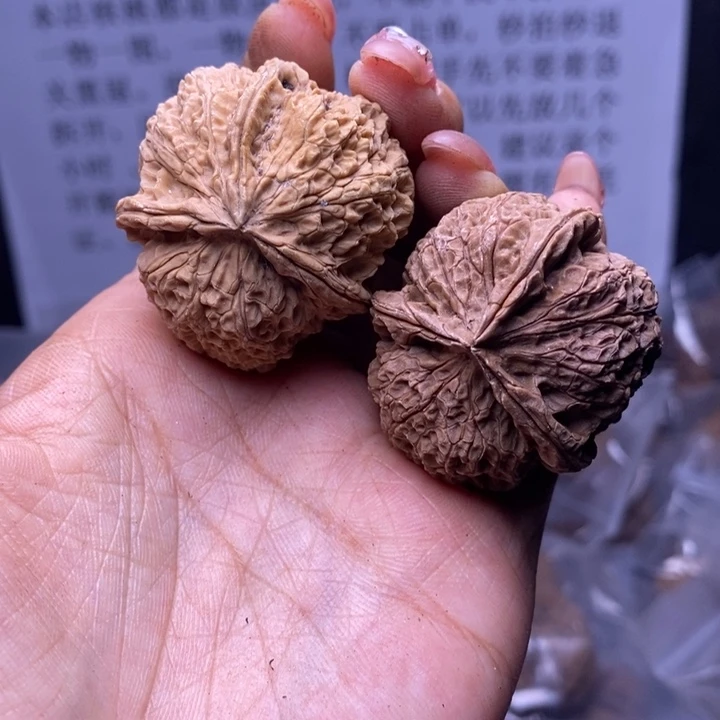核桃云南野生铁核桃162号40mm