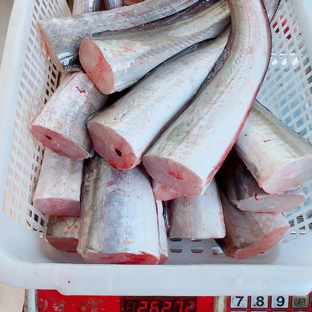 中国大陆鳗鱼鱼尾8斤