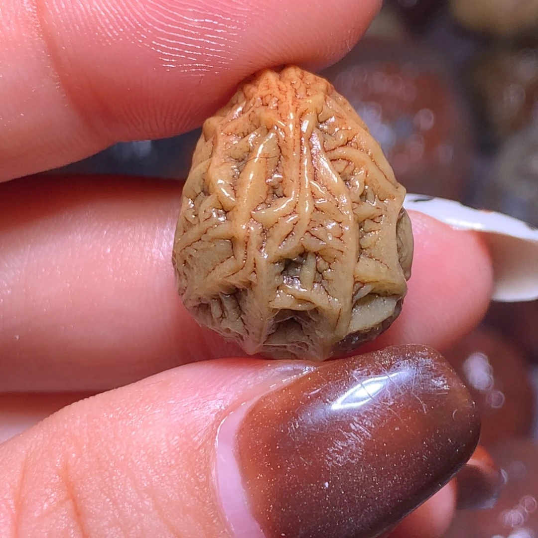 石材老筋脉珠子。。。。。