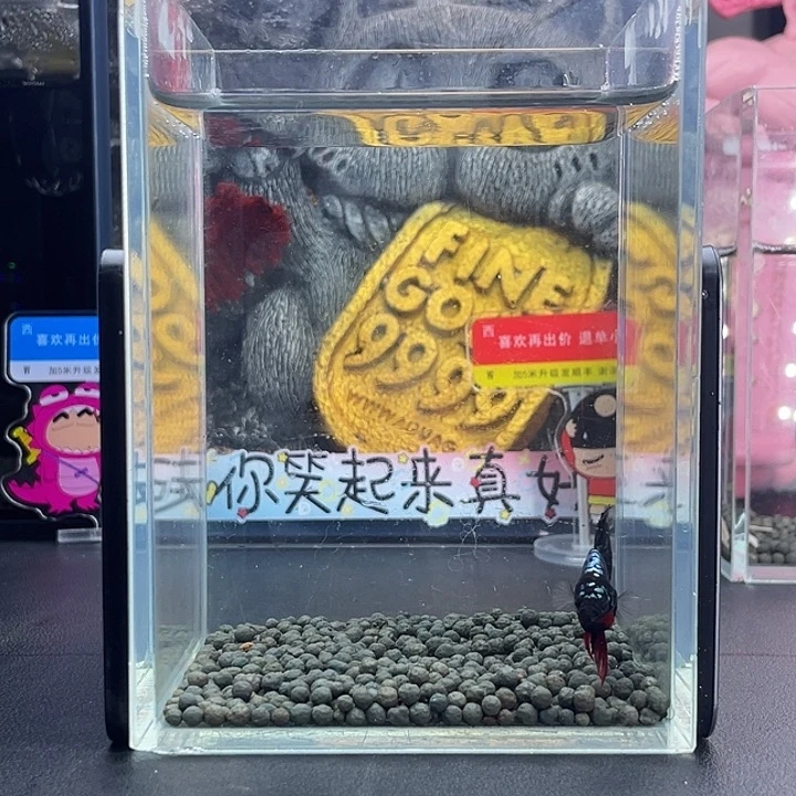 斗鱼21号926早暗黑