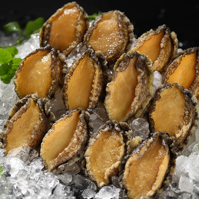 壮元海大连鲍鱼肉500克约20只去壳去脏皱纹盘鲍活鲍加工冷水锁鲜