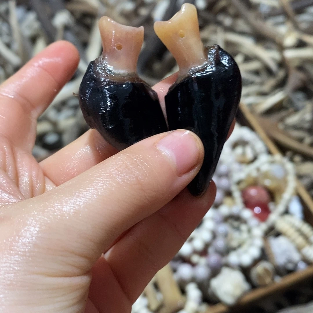 非金属鹿蹄鹿蹄鹿蹄