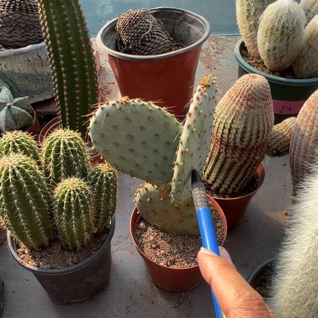 心***羽零零落落 零零落落