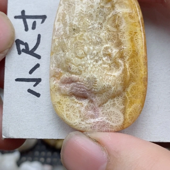 颈饰未镶嵌硅化珊瑚（珊瑚玉）