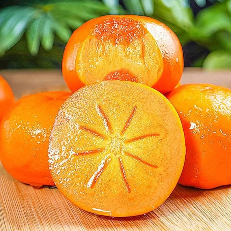 正宗阳丰脆柿新鲜应季柿子巧克力脆柿冰糖心无核