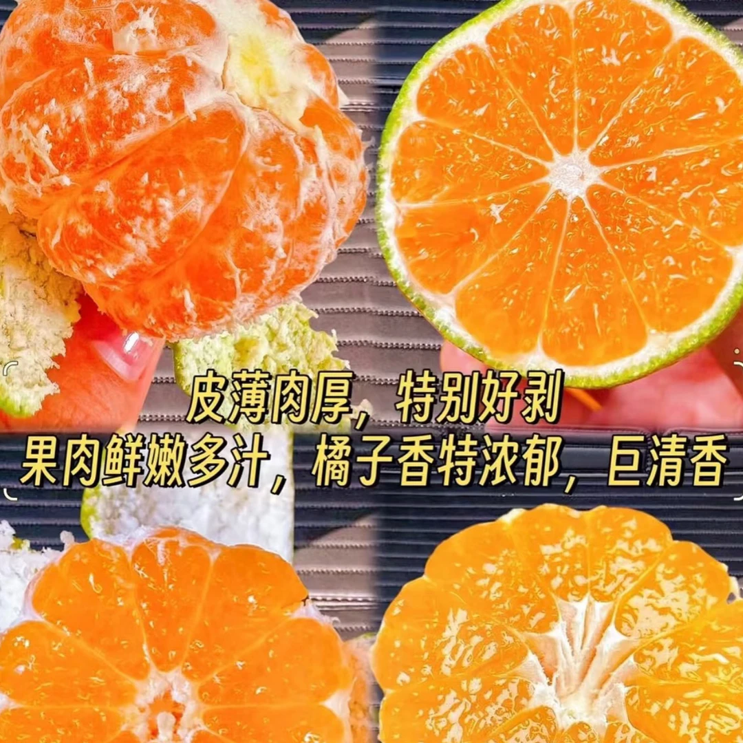 【富贵专属次日达】云南高原蜜桔2公斤包邮到家云南省