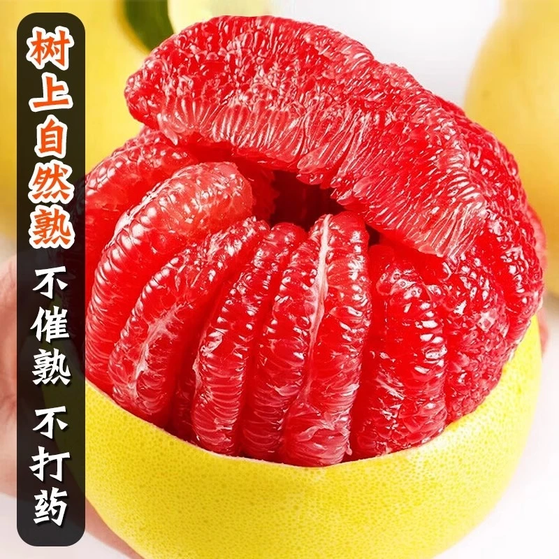 【薄皮柚子】福建平和红心蜜柚产地直发新鲜采摘皮薄福建平和薄皮