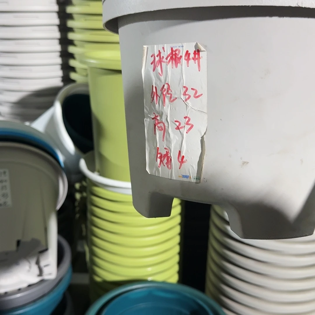 球根4号无拖5个口径32高23米黄
