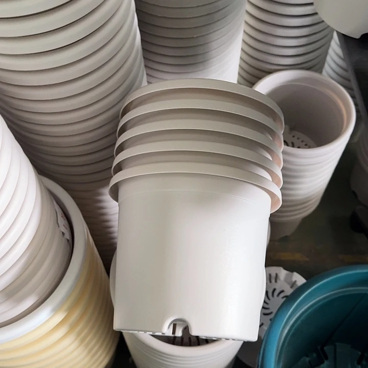 四季3号灰白无托10个特价微瑕