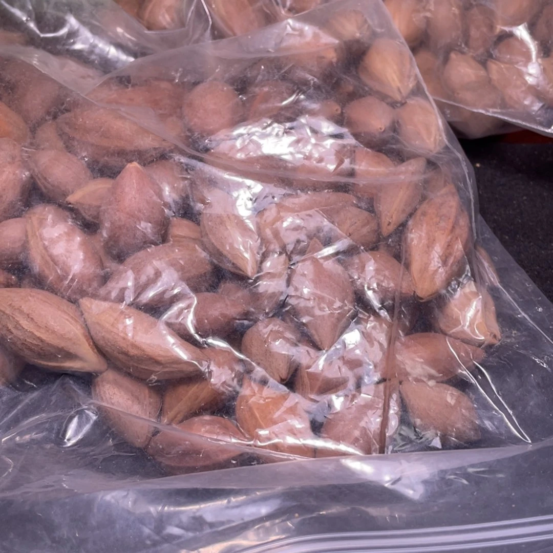 樂***斗手串/手链橄榄核不退不换
