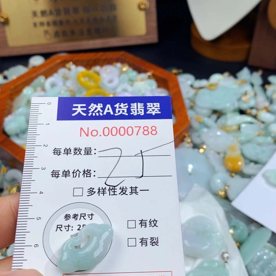 翡翠未镶嵌颈饰788