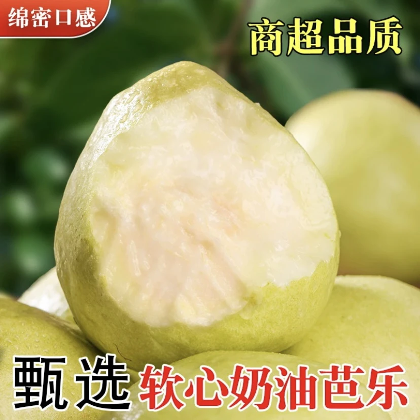 广西芭乐番石榴糯软香甜坏果包赔产地直发白心芭乐糯软香甜
