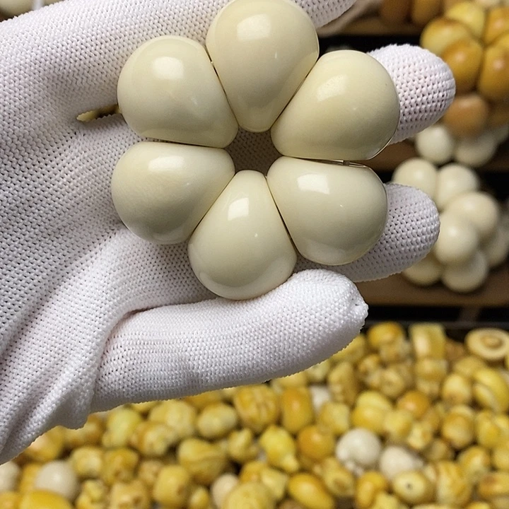 吊坠菩提根/象牙果