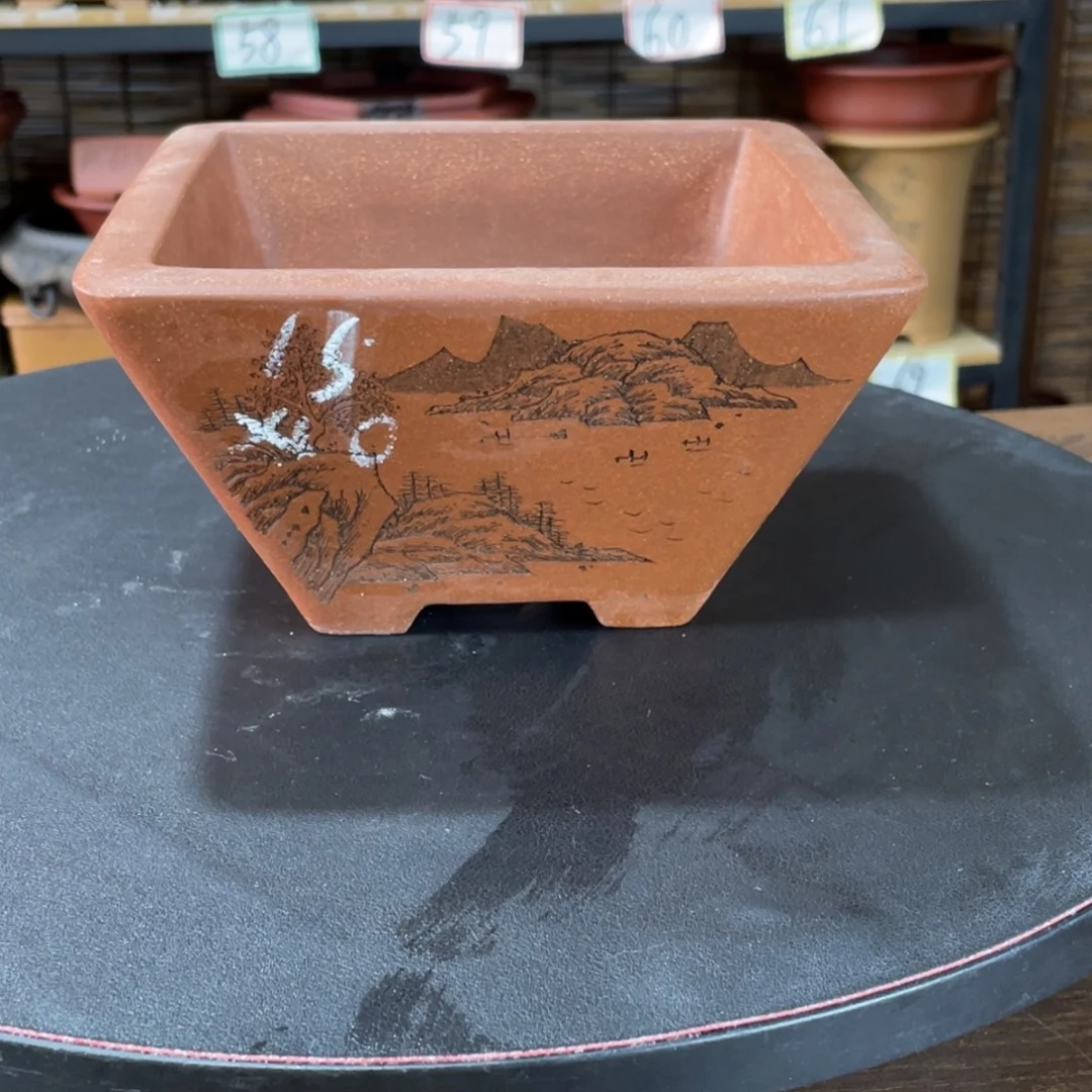 花盆紫砂紫砂和花