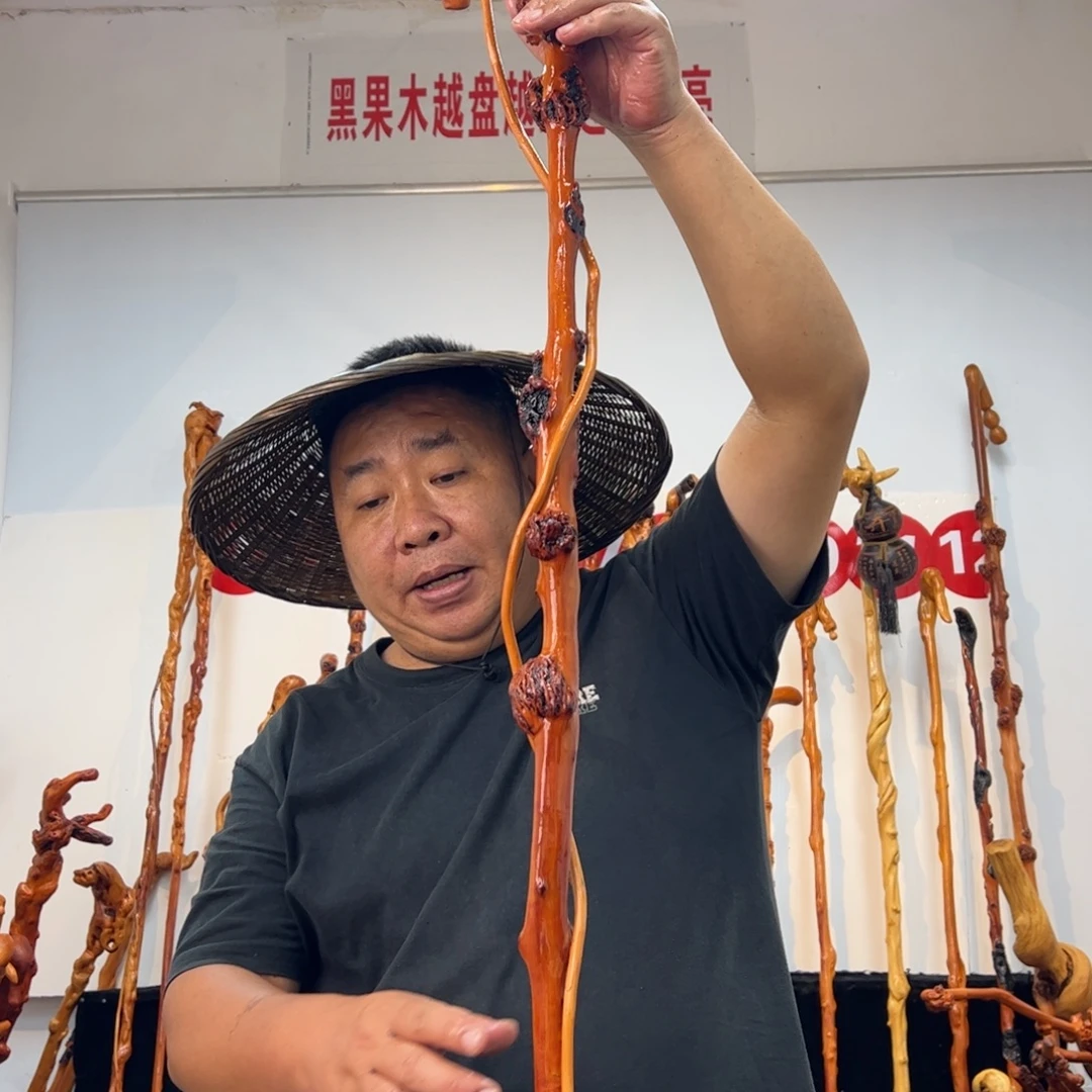 葫***工黑果木其他黑果木464