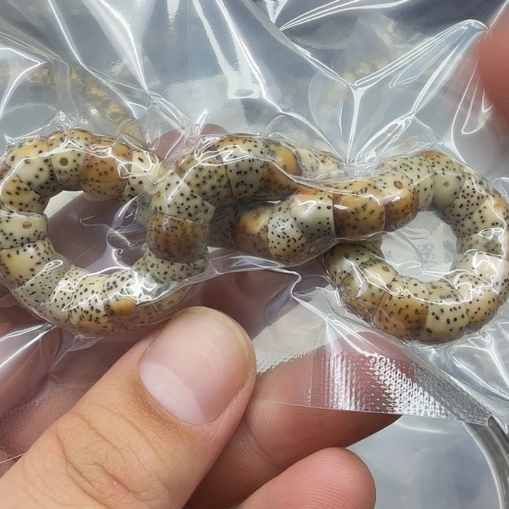 星月菩提手串30高端火烧云星月菩提单圈大肠1.0