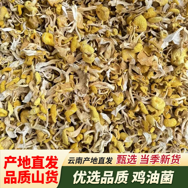 鸡油菌、鹿茸菇 买3送1（共200克）
