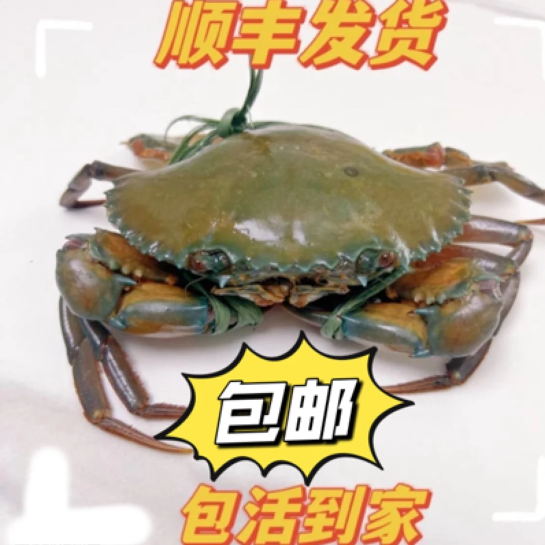 鲜活发货红膏蟹青蟹母蟹顺丰到家