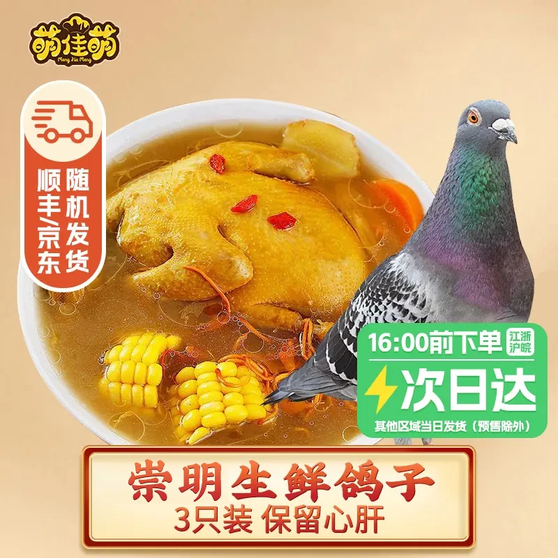 【萌佳萌】保留心肝上海崇明农家鸽350g*3只乳鸽新鲜鸽子生鲜食品