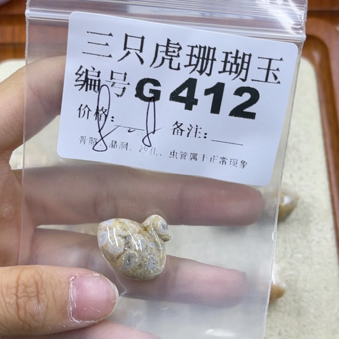 *****硅化珊瑚（珊瑚玉）未镶嵌h