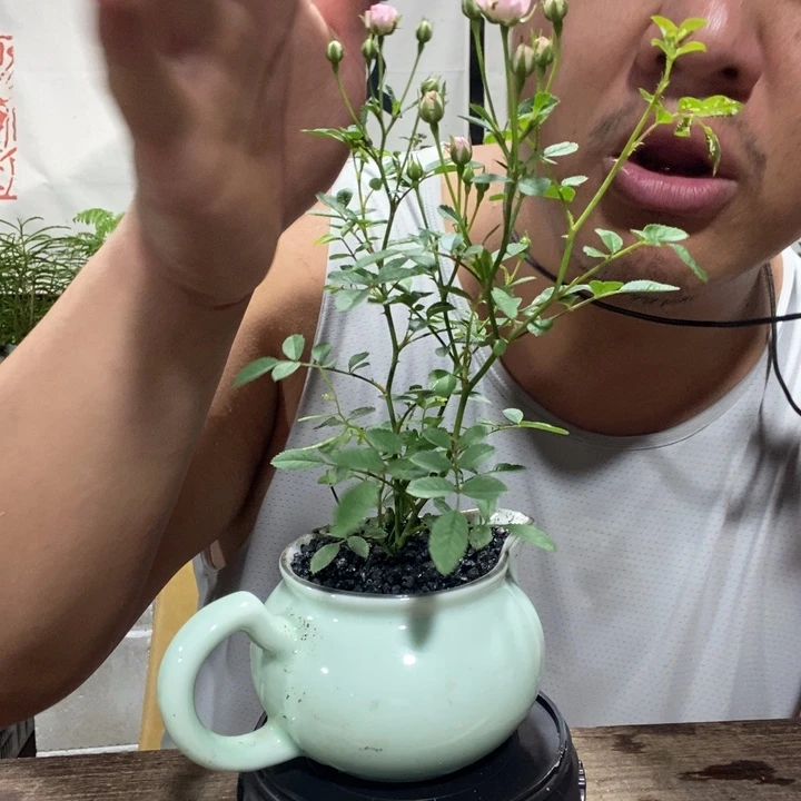 f***翔退款拉黑一物一拍358