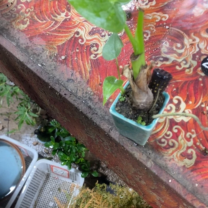 M*退款拉黑一物一80