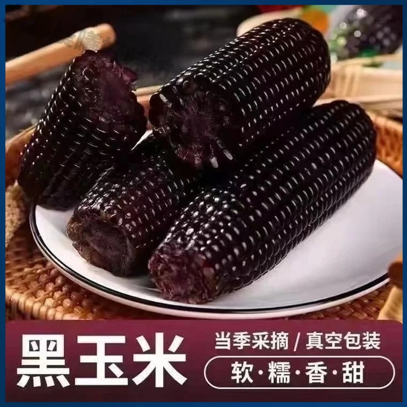 2024软糯东北蒸煮香甜黑糯玉米粗粮黄糯玉米即食装独立包装白玉米