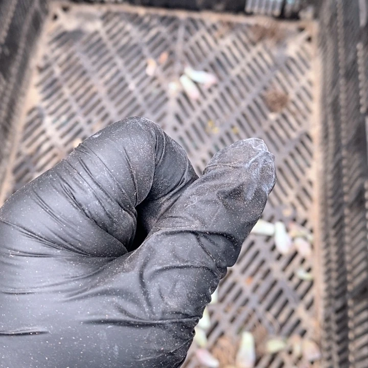 牛***儿随机赠送一颗哇哇哇吗