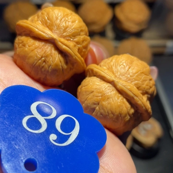 k***6粗筋蛇皮球尺寸31