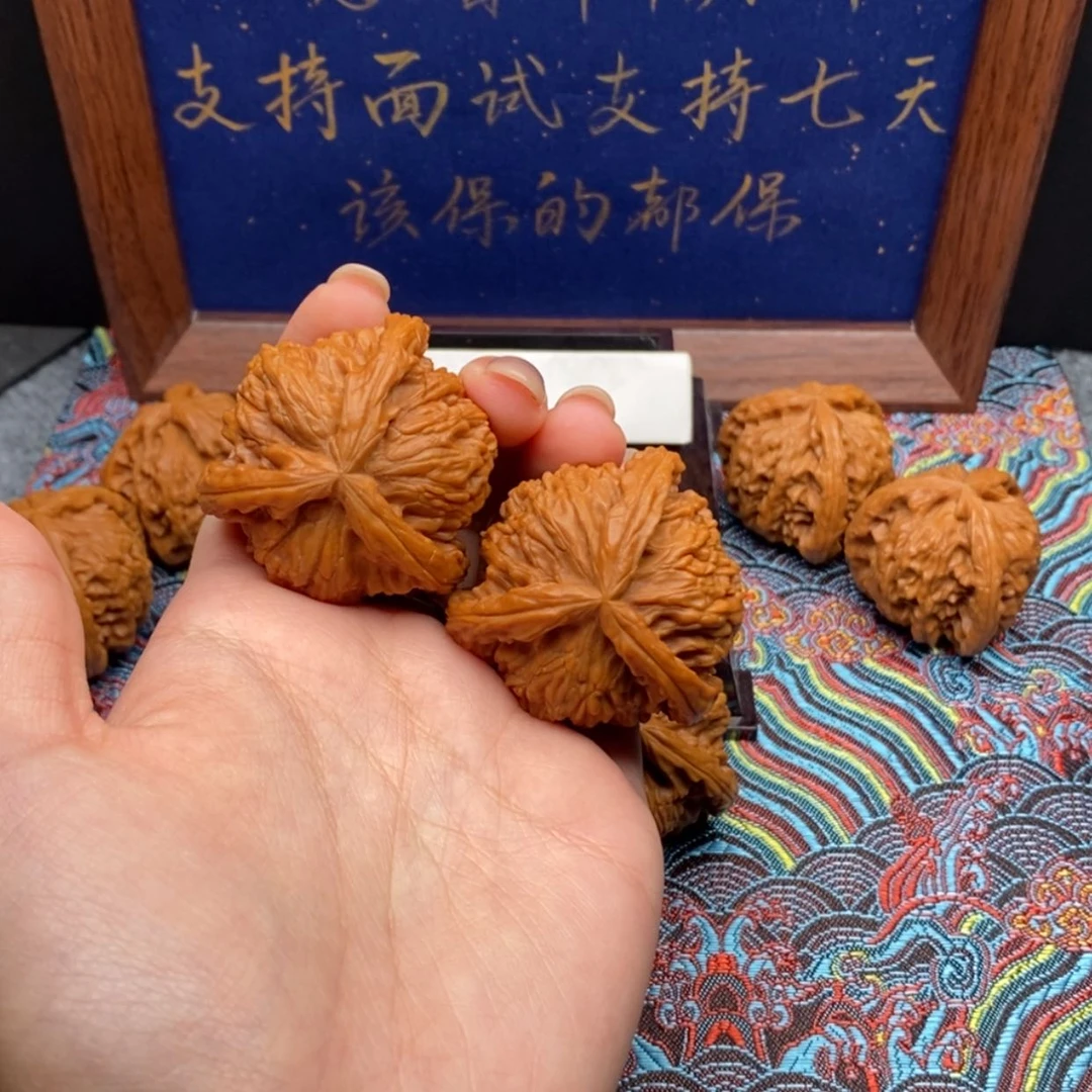 【闪购商品】Z****U白狮