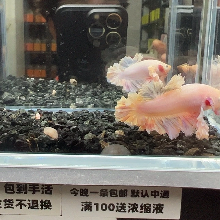 斗鱼跑單拉黑27日142