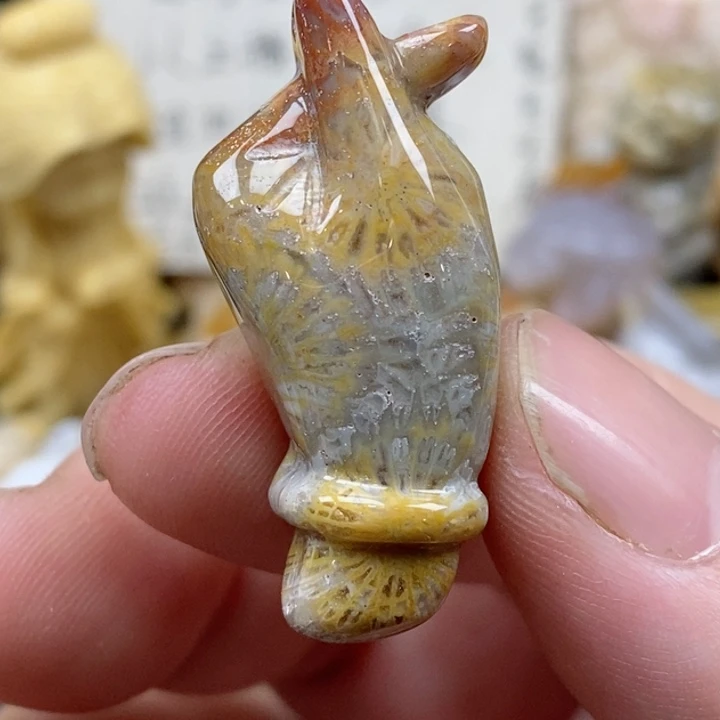 颈饰未镶嵌硅化珊瑚（珊瑚玉）有瑕 小