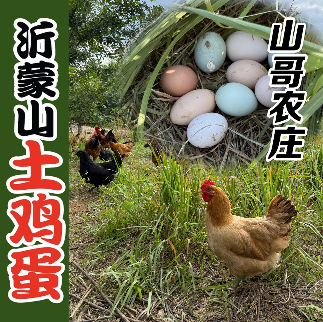 【爆卖！30枚土鸡蛋】山哥农庄土鸡蛋40g-50g新鲜营养鲜蛋现捡30枚