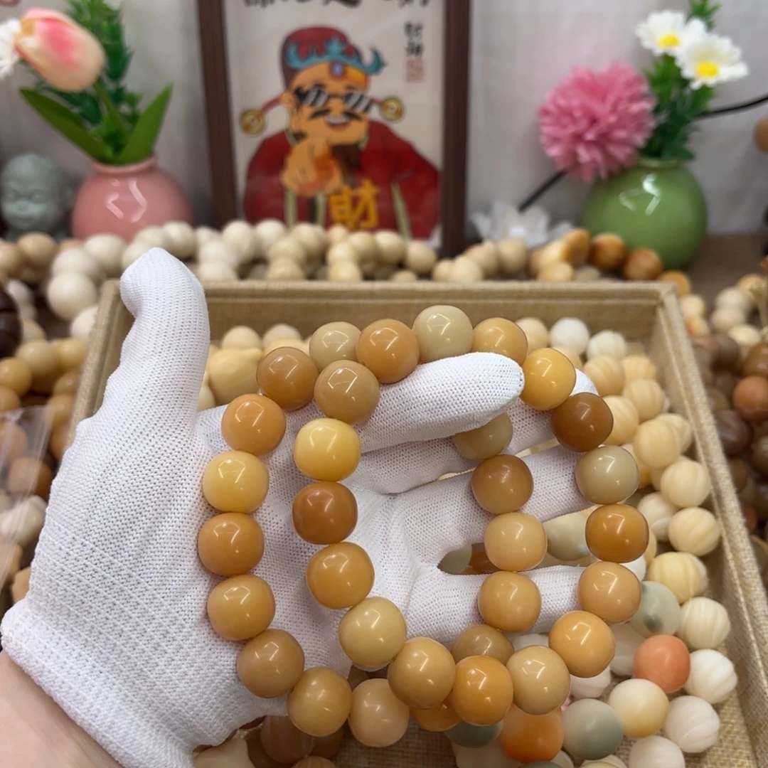 吊坠菩提根/象牙果16干磨瑕疵落地果一锅891