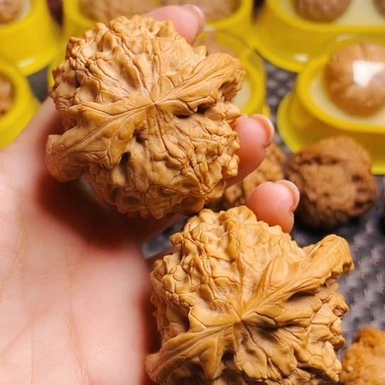 文玩核桃大龙鼎狮子头