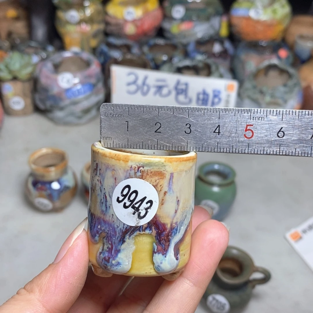 拍5送一个小礼物