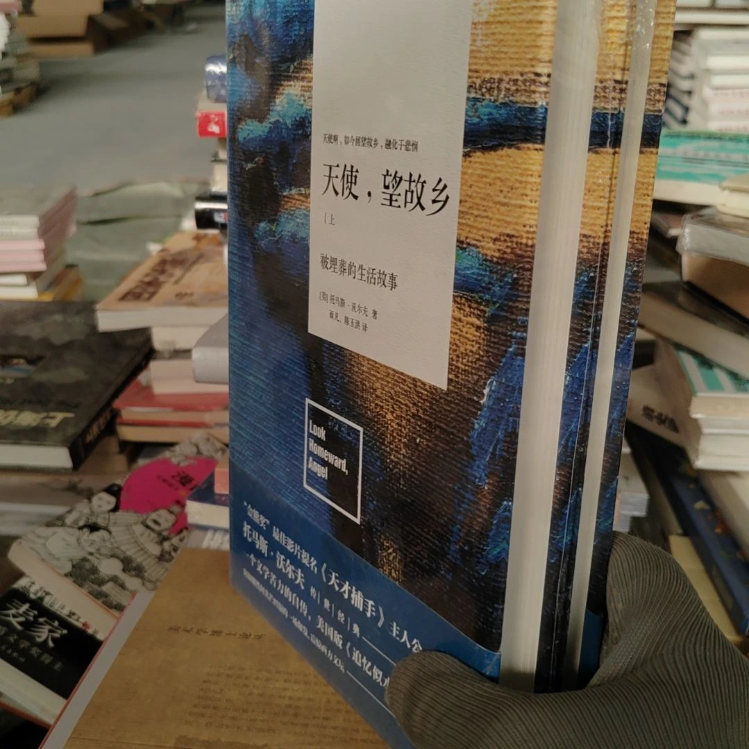 天使望故乡被埋葬的生活故事
