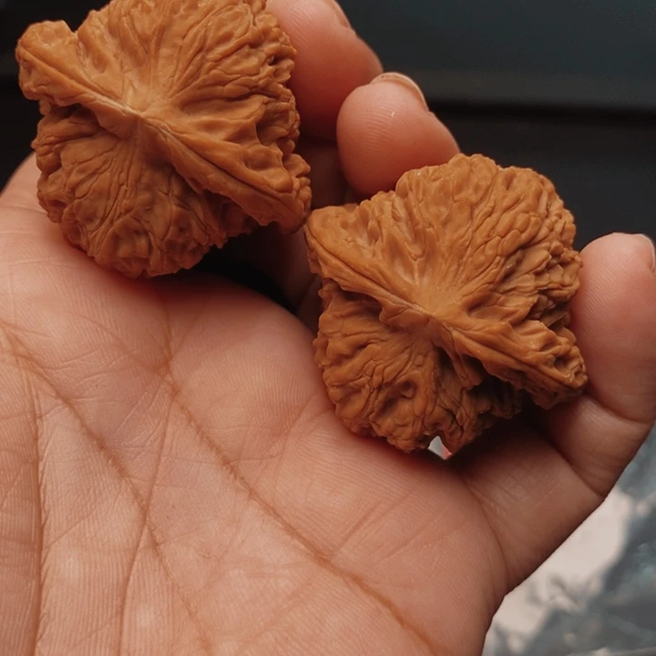 核桃南疆41尺核桃