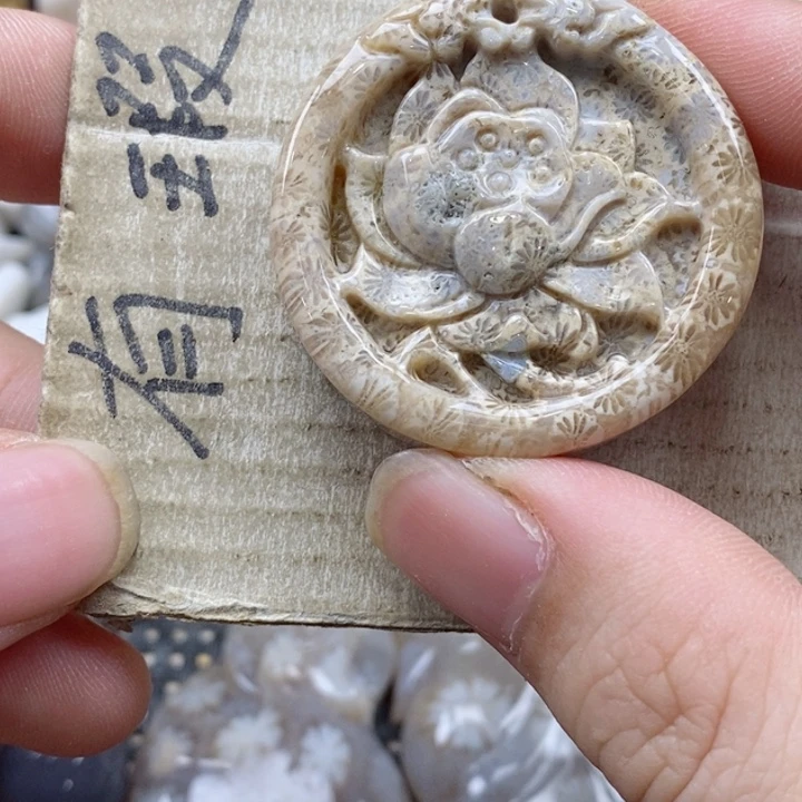 颈饰未镶嵌硅化珊瑚（珊瑚玉）?