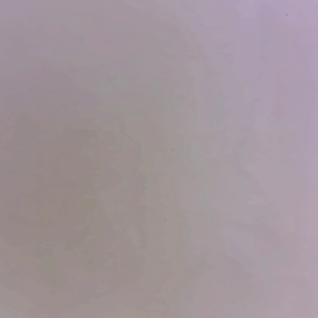 X****Y好了已经安排好了