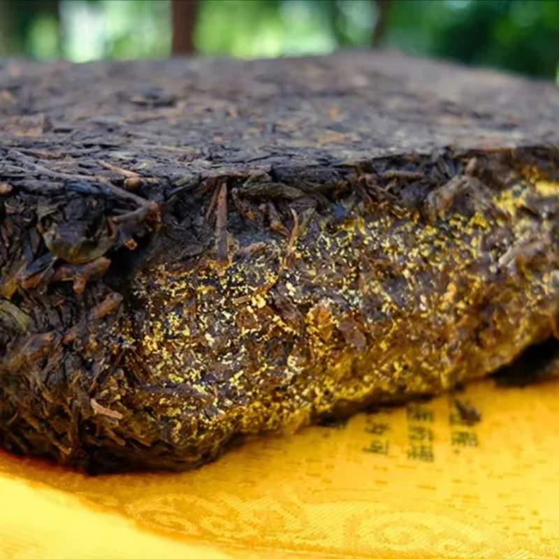 其廷专享 黑茶 50-5000g/件