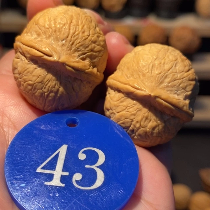 木质类蛇皮龙珠34尺寸