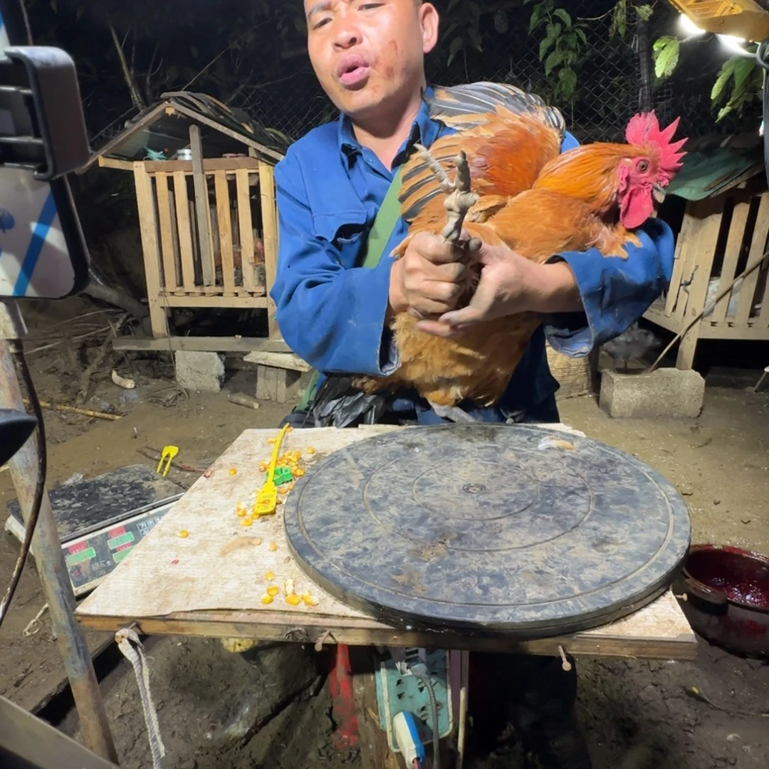 6………中国大陆包装