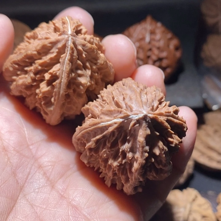 文玩核桃把件东北楸子32