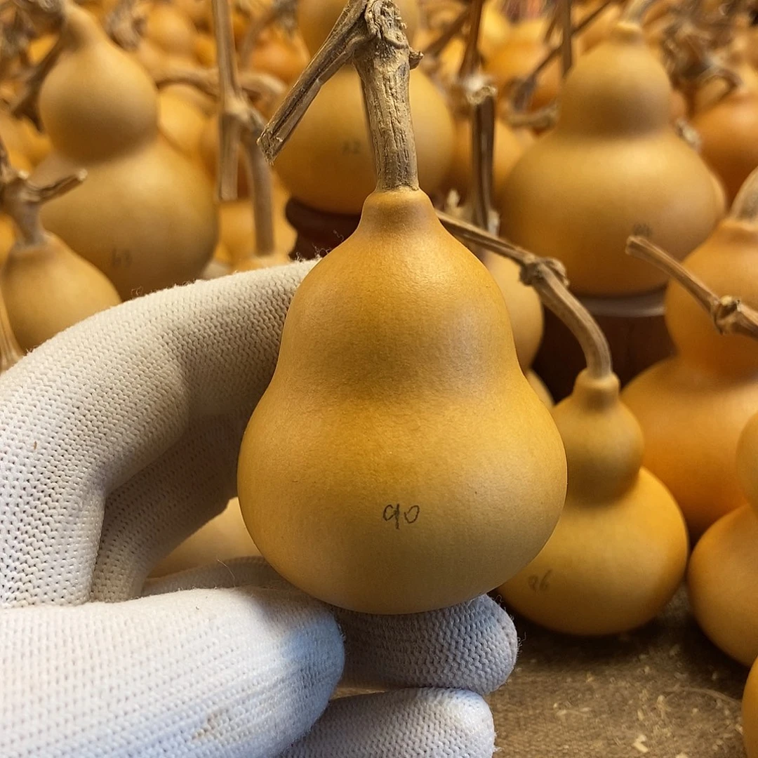 文玩葫芦 完美主义者 慎拍90