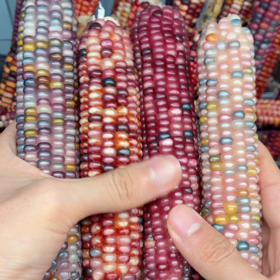 雅***娜白玉菩提吊坠文玩精品文玩精品