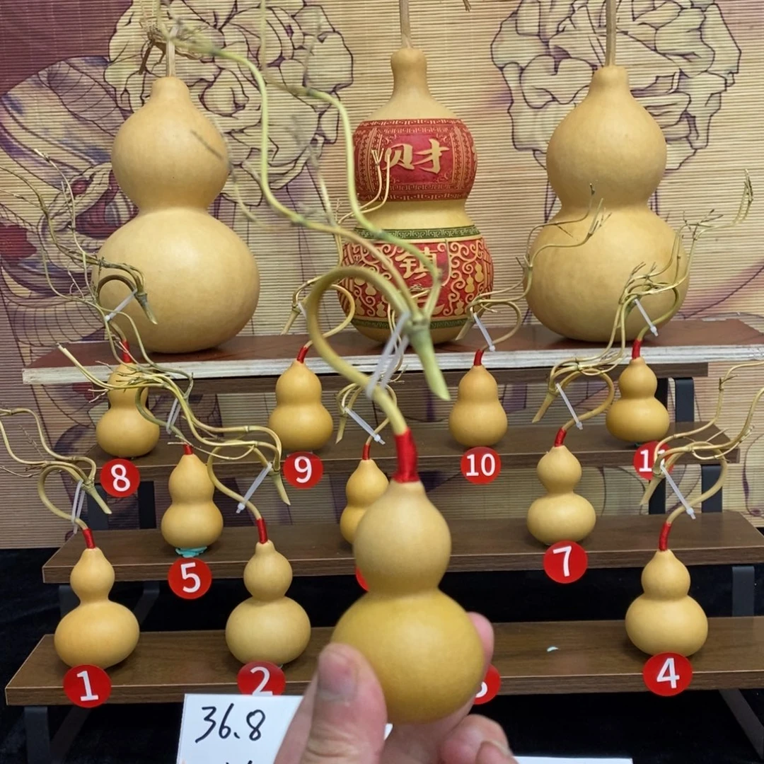 铅***子啊啊啊啊啊啊啊啊啊啊啊啊啊啊啊啊啊啊啊啊