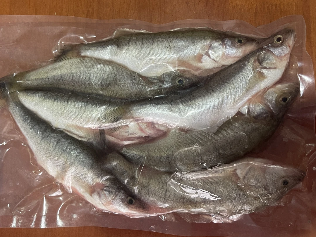 [毛兰侃谈] 新疆伊犁特克斯天山冷水鱼野生小鲈鱼